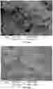 Fig. 27 - Occlusive implant compositions