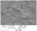 Fig. 28 - Occlusive implant compositions