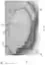 Fig. 15 - Fluorosilicone copolymers