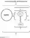 Fig. 03 - COATING COMPRISING ANTI-MICROBIAL PARTICLES, METHODS OF PREPARATION AND USES THEREOF