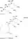 Fig. 17 - COATING COMPRISING ANTI-MICROBIAL PARTICLES, METHODS OF PREPARATION AND USES THEREOF