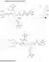 Fig. 22 - COATING COMPRISING ANTI-MICROBIAL PARTICLES, METHODS OF PREPARATION AND USES THEREOF