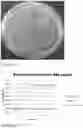 Fig. 33 - COATING COMPRISING ANTI-MICROBIAL PARTICLES, METHODS OF PREPARATION AND USES THEREOF