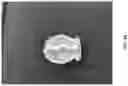 Fig. 02 - CELL ENCAPSULATION DEVICES AND METHODS OF USING SAME