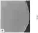 Fig. 05 - CELL ENCAPSULATION DEVICES AND METHODS OF USING SAME