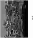 Fig. 06 - CELL ENCAPSULATION DEVICES AND METHODS OF USING SAME