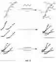 Fig. 03 - ENZYME-DEGRADABLE HYDROGEL FOR DELIVERY OF A PAYLOAD