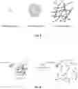 Fig. 04 - ENZYME-DEGRADABLE HYDROGEL FOR DELIVERY OF A PAYLOAD