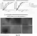 Fig. 15 - ENZYME-DEGRADABLE HYDROGEL FOR DELIVERY OF A PAYLOAD