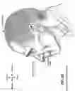 Fig. 09 - Textile vent assembly
