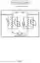 Fig. 05 - Method and apparatus to guide mechanical ventilation