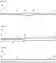 Fig. 02 - Method for producing catheter tube