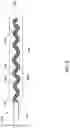 Fig. 07 - INTRAVASCULAR ULTRAVIOLET CATHETER AND METHODS FOR MAKING AND USING THE SAME