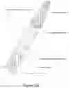 Fig. 31 - Vasculature navigation systems and methods
