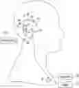 Fig. 01 - Implantable cochlear system with inner ear sensor