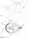 Fig. 13 - Methods and devices for aesthetic treatment of biological structures by radiofrequency and magnetic energy