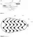Fig. 14 - Methods and devices for aesthetic treatment of biological structures by radiofrequency and magnetic energy