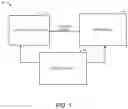 Fig. 02 - LOW-LEVEL LIGHT THERAPY FOR RESTORING GUT MICROBIOTA