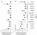 Fig. 08 - COCHLEAR IMPLANT AND METHOD OF GENERATING STIMULATIONS FOR A COCHLEAR IMPLANT