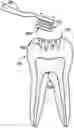 Fig. 01 - TEETH CLEANING AND REMINERALIZING TOOTHPASTES