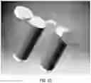 Fig. 11 - Personal protective nose mask