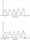 Fig. 43 - PORTABLE RESISTANCE WORKOUT APPARATUSES AND SYSTEMS