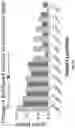 Fig. 31 - GOLF CLUB HEAD WITH INSERT