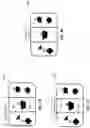 Fig. 06 - System and method for providing dynamically variable maps in a video game