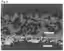 Fig. 05 - Exhaust gas purification catalyst and production method therefor