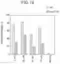 Fig. 14 - DENITRATION CATALYST AND METHOD FOR MANUFACTURING SAME