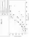 Fig. 19 - DENITRATION CATALYST AND METHOD FOR MANUFACTURING SAME