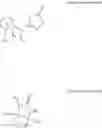 Fig. 30 - Metal complex, method for producing same, and method for producing gamma-lactam compound using same