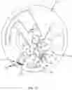 Fig. 13 - Point of Care Concentration Analyzer