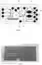 Fig. 07 - Microfluidic system based on active control of flow resistance in microfluidic channels and methods of use thereof