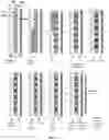 Fig. 13 - DEVICES, PROCESSES, AND SYSTEMS FOR DETERMINATION OF NUCLEIC ACID SEQUENCE, EXPRESSION, COPY NUMBER, OR METHYLATION CHANGES USING COMBINED NUCLEASE, LIGASE, POLYMERASE, AND SEQUENCING REACTIONS