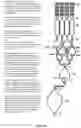 Fig. 35 - DEVICES, PROCESSES, AND SYSTEMS FOR DETERMINATION OF NUCLEIC ACID SEQUENCE, EXPRESSION, COPY NUMBER, OR METHYLATION CHANGES USING COMBINED NUCLEASE, LIGASE, POLYMERASE, AND SEQUENCING REACTIONS