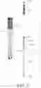 Fig. 06 - SCREWDRIVER