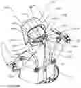 Fig. 29 - Head support systems and methods for use