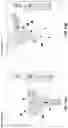 Fig. 21 - Clutter-clearing robotic system