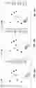 Fig. 23 - Clutter-clearing robotic system