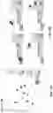 Fig. 24 - Clutter-clearing robotic system