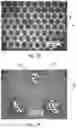 Fig. 05 - MICROSTRUCTURE ARRANGEMENT FOR GRIPPING LOW COEFFICIENT OF FRICTION MATERIALS
