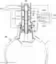 Fig. 01 - STRUCTURE OF CLAW SOLENOID