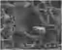 Fig. 01 - ENVIRONMENTALLY FRIENDLY FOAMING BODY AND MANUFACTURING METHOD THEREFOR