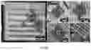 Fig. 19 - Hybrid additive-subtractive laser fabrication platform for shaping hydrogels