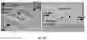 Fig. 21 - Hybrid additive-subtractive laser fabrication platform for shaping hydrogels