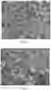 Fig. 03 - Fiber-reinforced resin article, method for manufacturing same, and laminate including same
