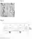 Fig. 03 - Decorative material and method for producing same