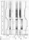 Fig. 07 - Drive circuit and liquid ejecting apparatus
