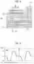 Fig. 05 - Drive circuit and liquid ejecting apparatus